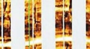 Formation MicroImager (FMI) Interpretation and Applications
