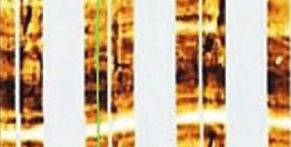 Formation MicroImager (FMI) Interpretation and Applications