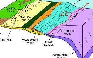 Carbonate Sequence Stratigraphy: Concepts and Applications