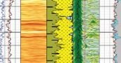 Petrophysical Analysis of Shaly Sands