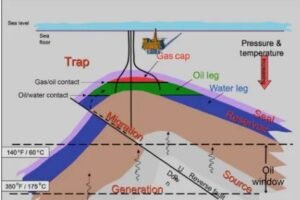 Petroleum Geology: From Basin to Reservoir