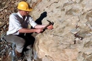 Petroleum Geology for Non-Geologists