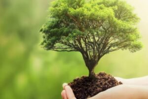 🌿 Environmental Impact Assessment (EIA) Training Course