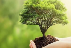 🌿 Environmental Impact Assessment (EIA) Training Course