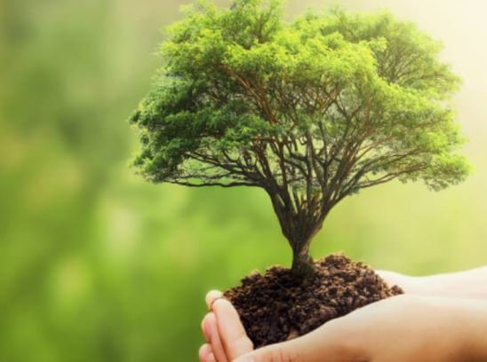 Join our EIA training course to master environmental assessment, mitigation strategies, and compliance with international and national regulations.