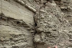 🏞️ Petroleum Geology and Petroleum Geoscience Masterclass