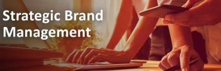 📘 Strategic Brand Management